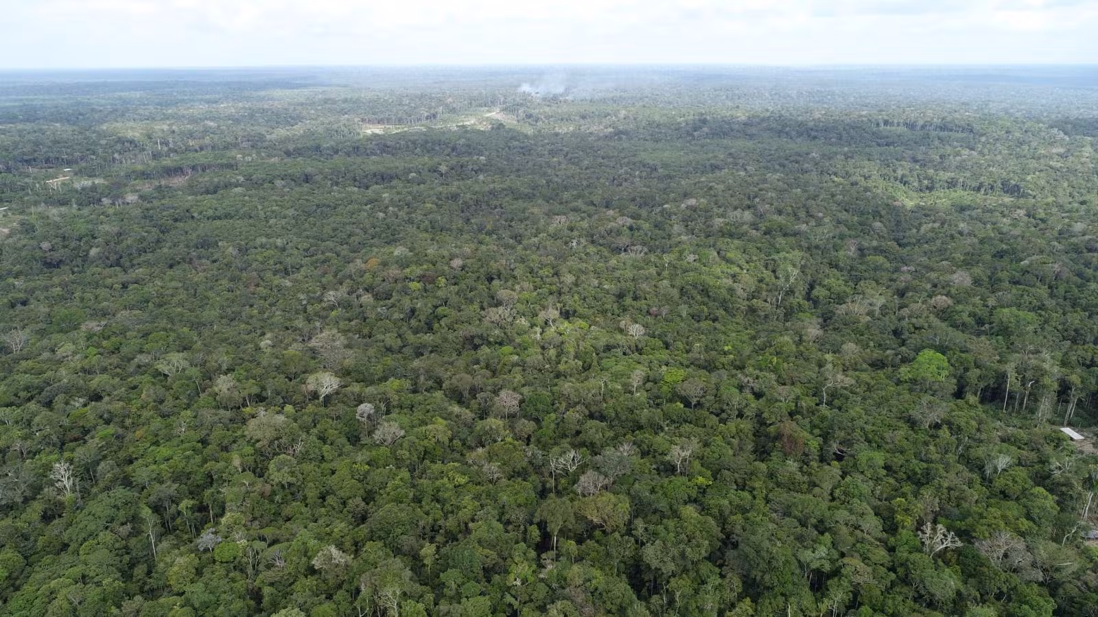 Amazonas registra aumento de 20% nos focos de calor em agosto; Apuí concentra 34% dos registros