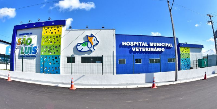 Crise no Hospital Veterinário da Prefeitura de São Luís intensifica