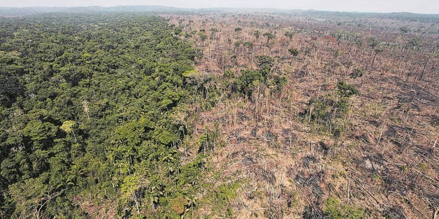 Após COP17, Brasil é pressionado por metas ambientais
