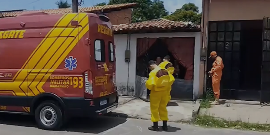 Ataque de abelhas deixa homem ferido e mata galinhas e patos em Santa Inês