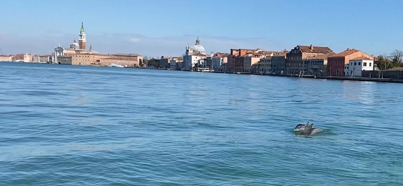 Lagoa rasa e cortada por canais: entenda onde aconteceu o acidente que matou brasileira em Veneza