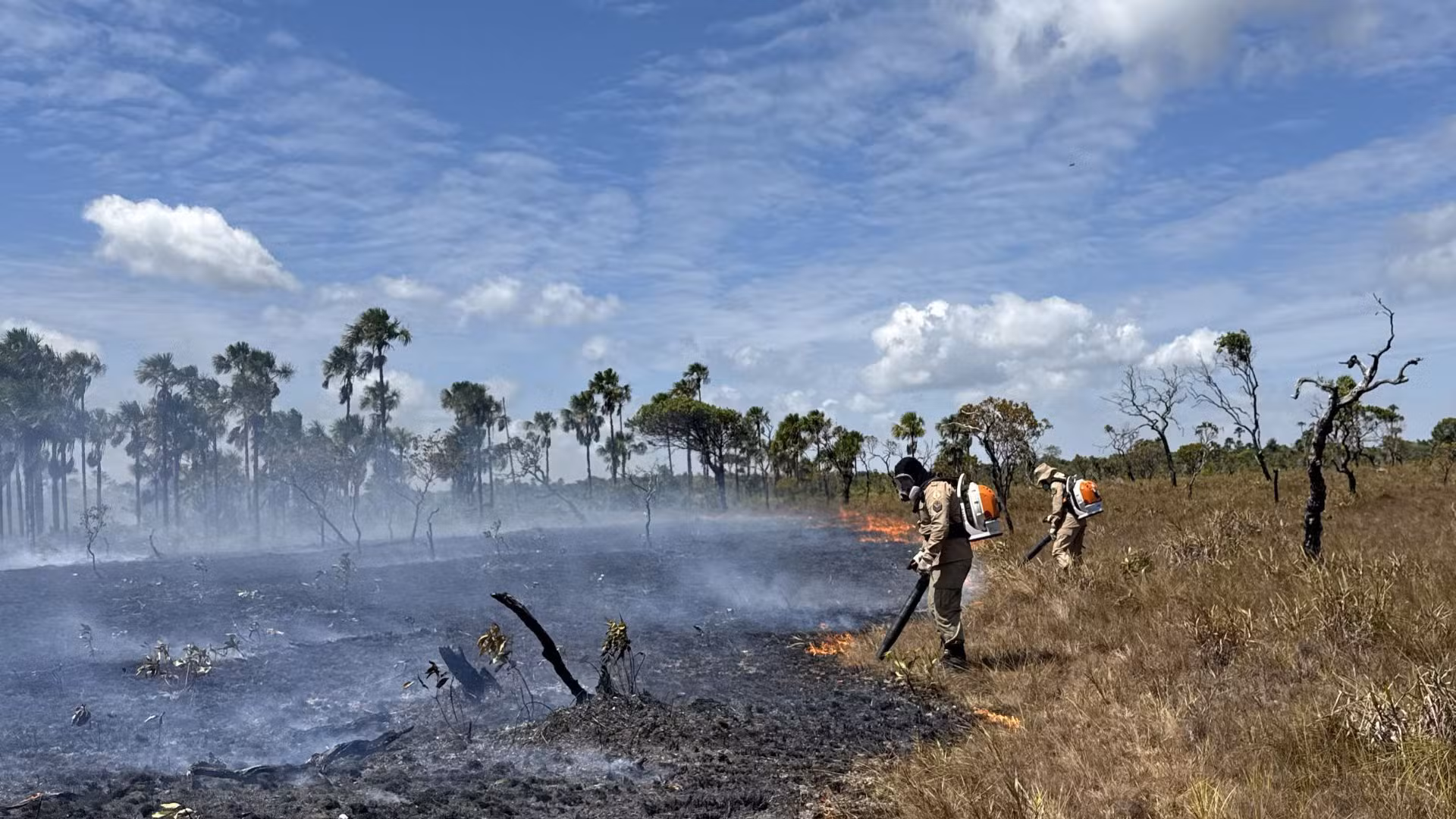 Focos de calor no AP saltam de 36 para 160 em um ano; Calçoene concentra metade das ocorrências