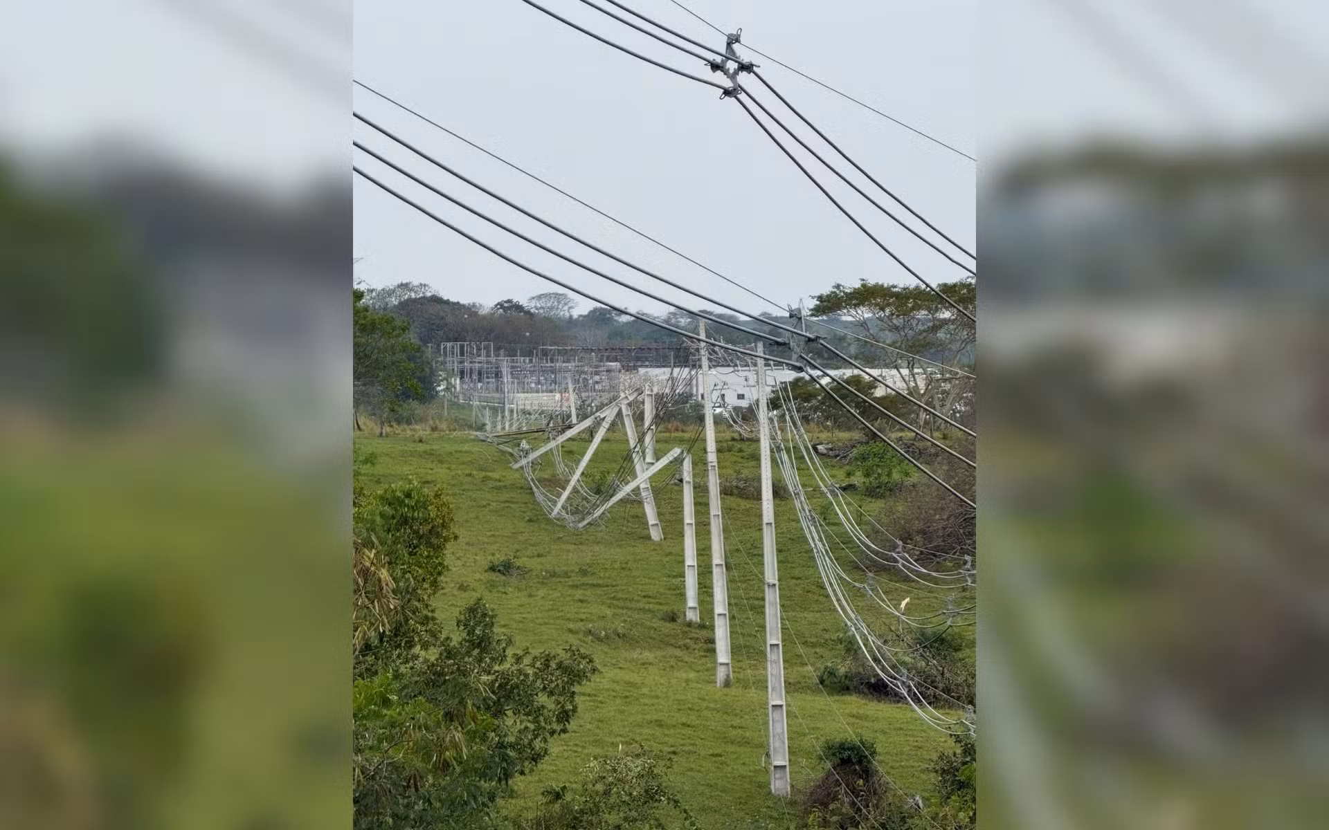 Ventania derruba árvores e postes e afeta distribuição de energia em Prudente