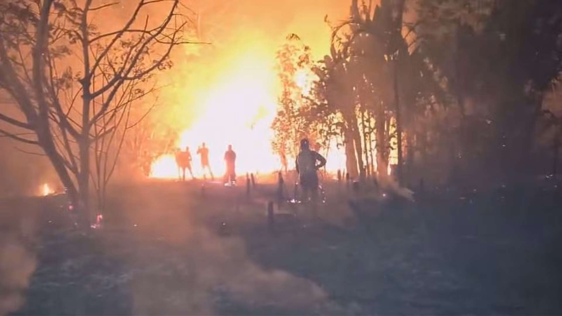 Incêndio de grandes proporções em área de vegetação ameaça residências em Oiapoque