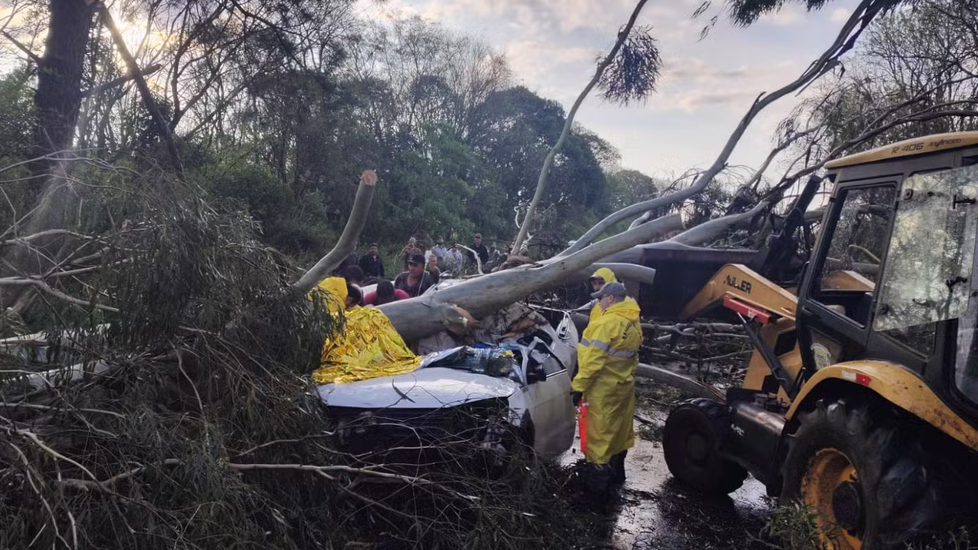 Árvore cai sobre carro durante chuva forte e deixa dois feridos em rodovia no Norte do RS