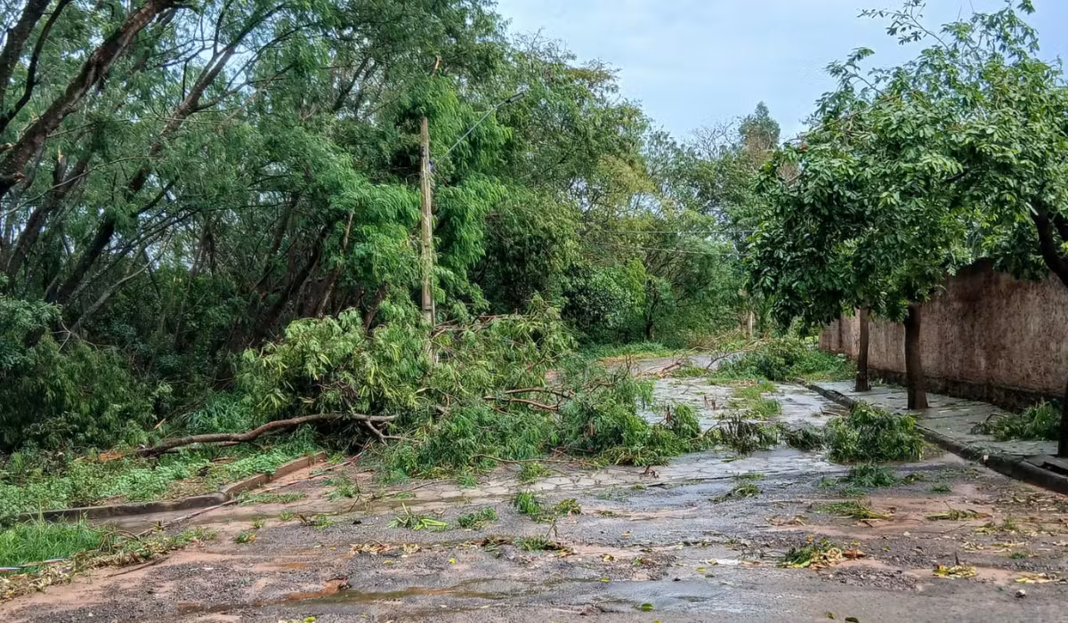 Temporal provoca queda de árvores e postes e destelhamentos parciais de imóveis em Tarabai